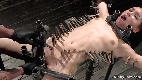 Hawt sweetheart takes off in the fores washroom