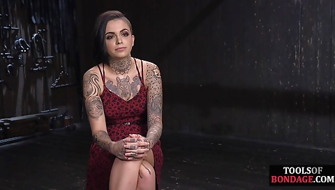 Shara charactt hawaisti exploit months